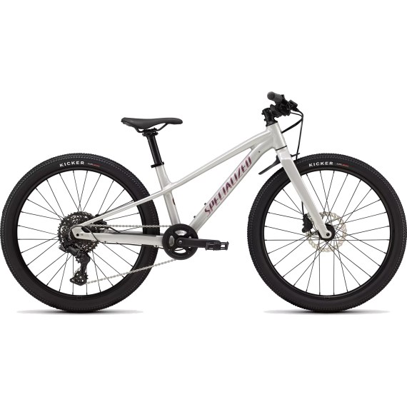 Bicicleta infantil rodado 24 RIPROCK